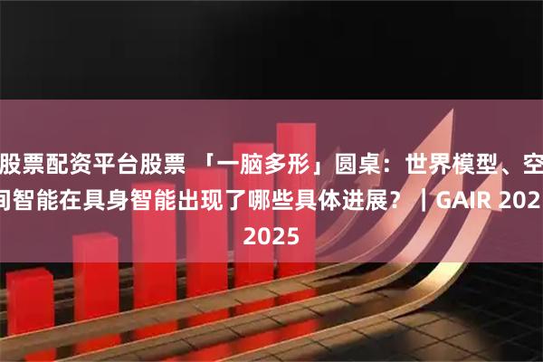 股票配资平台股票 「一脑多形」圆桌：世界模型、空间智能在具身智能出现了哪些具体进展？｜GAIR 2025